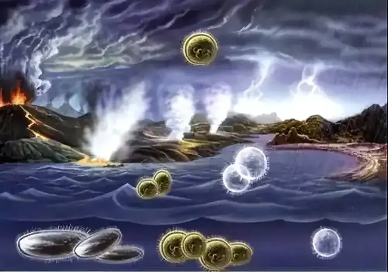 月球遮挡太阳，大小分毫不差！是巧合，还是宇宙精心设计的？