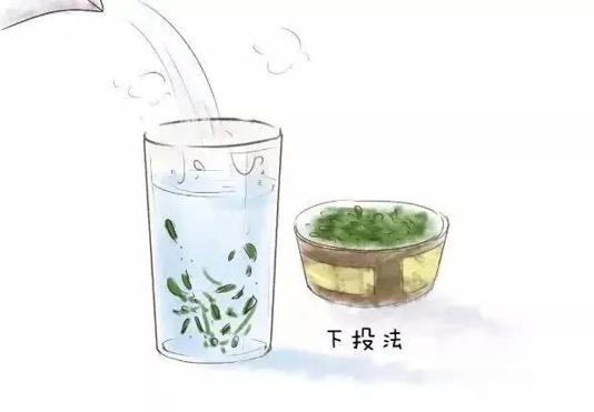 要泡出绿茶真滋味，这些细节别错过！