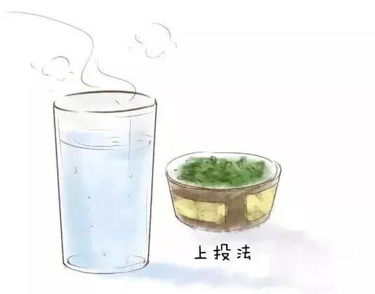 要泡出绿茶真滋味，这些细节别错过！
