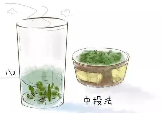 要泡出绿茶真滋味，这些细节别错过！