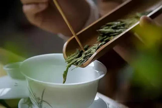 要泡出绿茶真滋味，这些细节别错过！ 