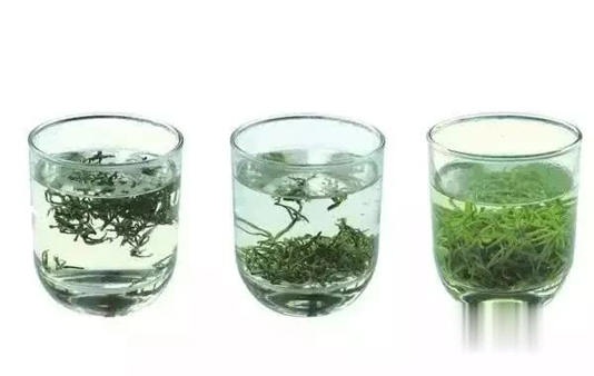 要泡出绿茶真滋味，这些细节别错过！