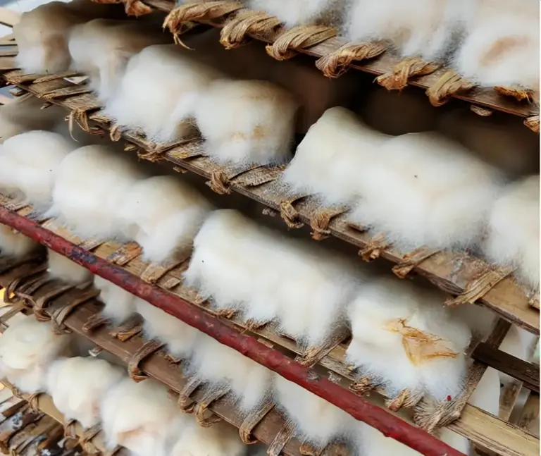 中国美食十大“奇葩榜”，你能撑过几个回合？