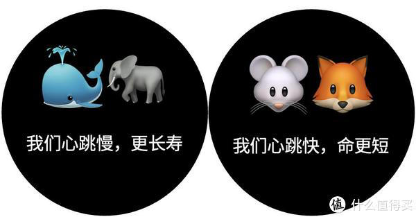 心跳慢更长寿，1分钟跳多少次最健康？