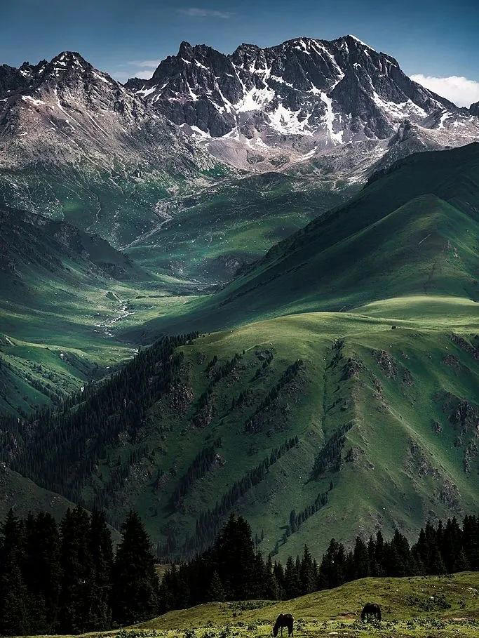 我生命里的每一条折痕都有山的形状