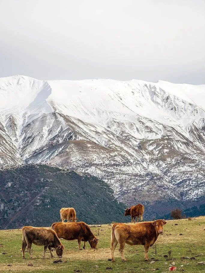 我生命里的每一条折痕都有山的形状