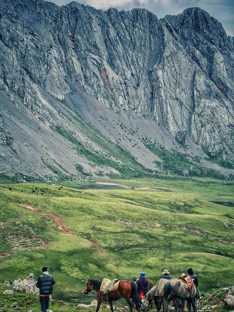 我生命里的每一条折痕都有山的形状