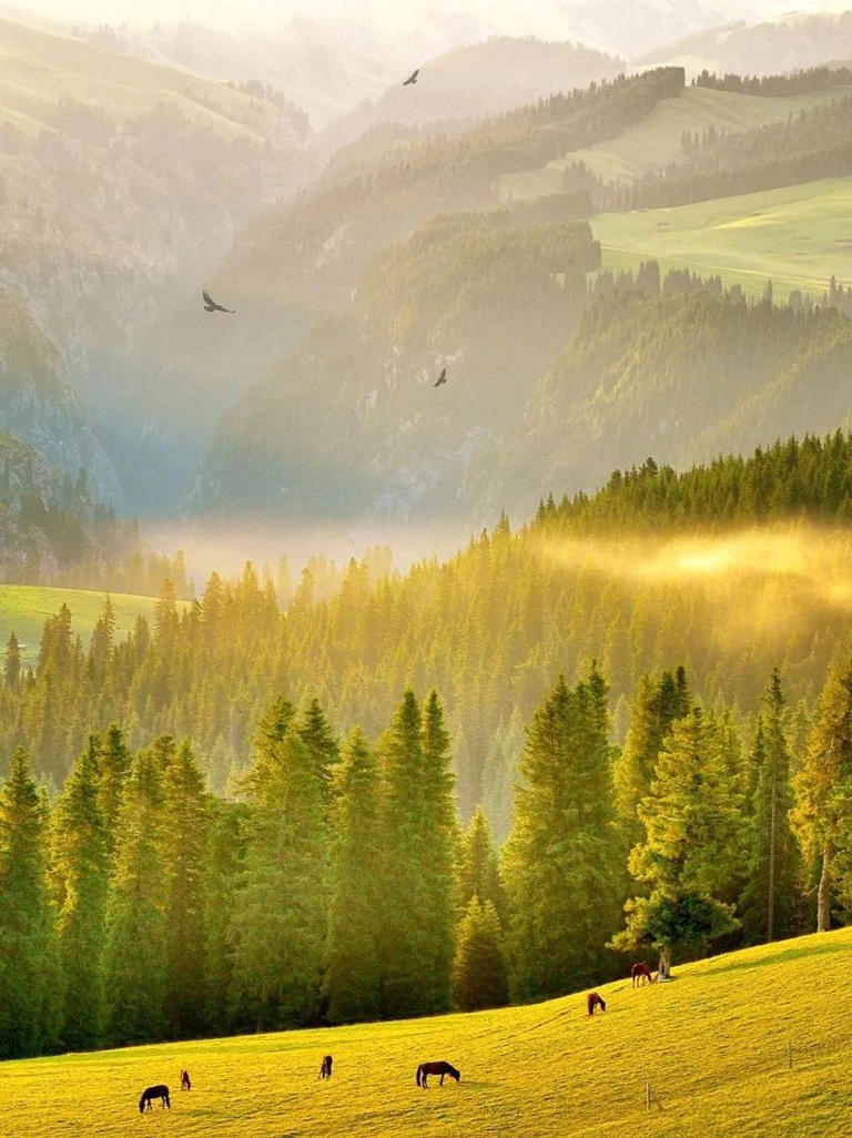 我生命里的每一条折痕都有山的形状