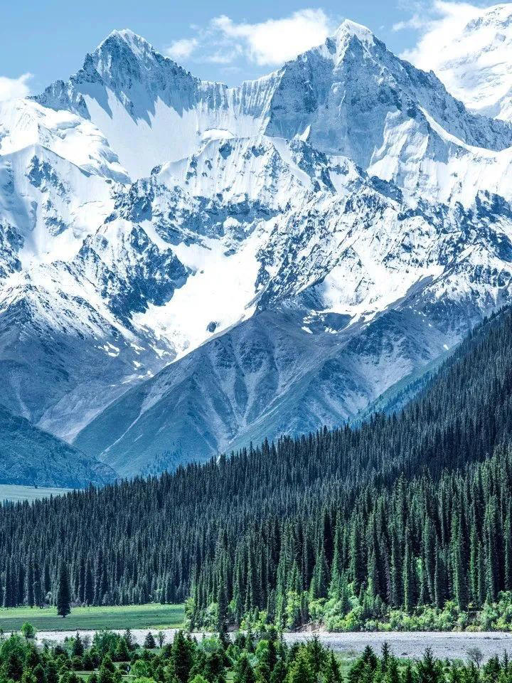 我生命里的每一条折痕都有山的形状