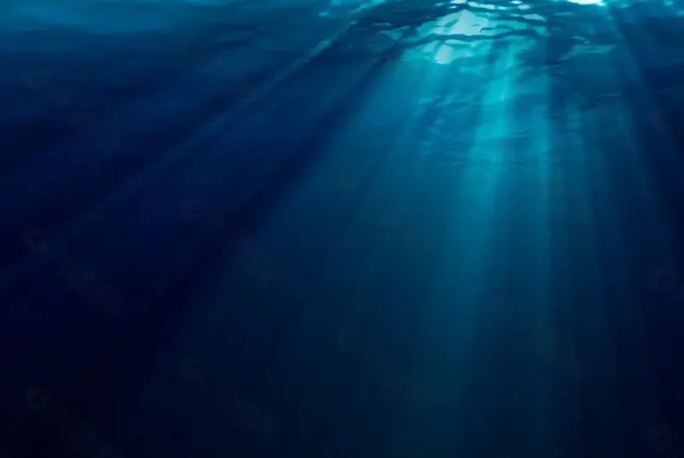 为什么人类更喜欢探索太空，也不去研究深海？深海究竟有多可怕？