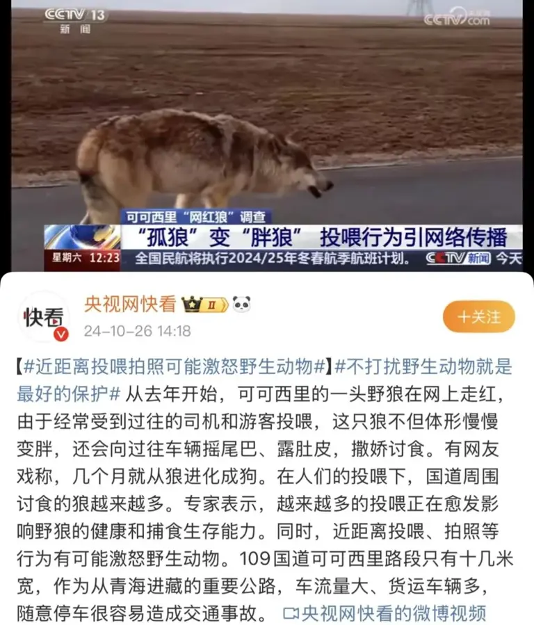 又一个大网红塌房：直播，还有底线吗？