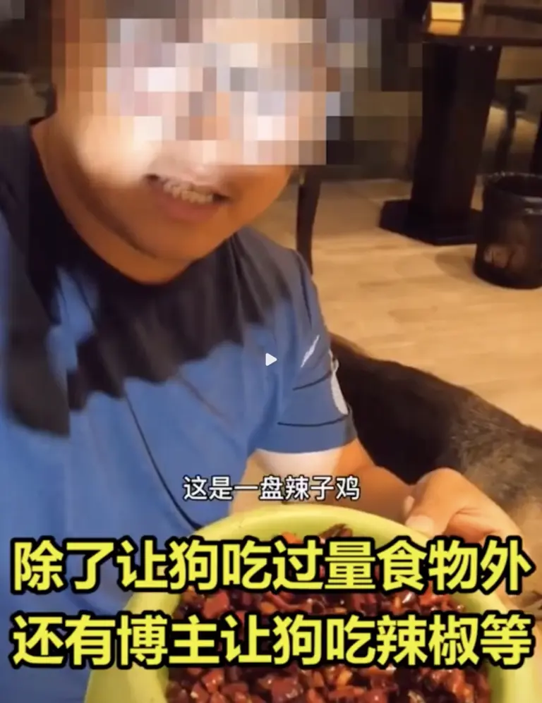 又一个大网红塌房：直播，还有底线吗？