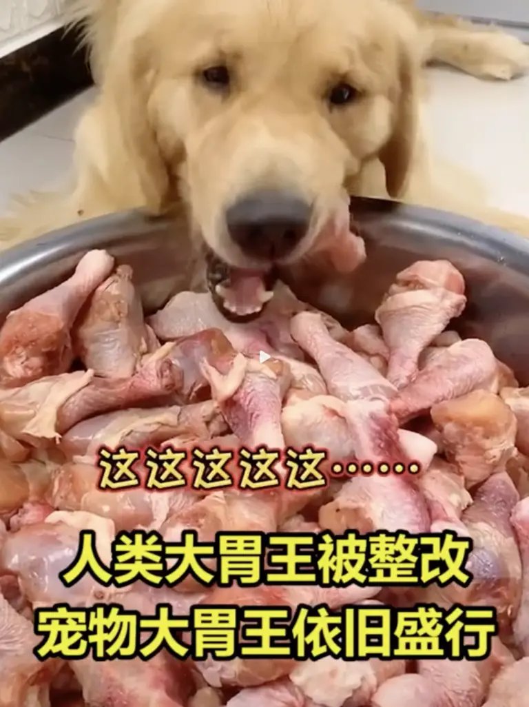 又一个大网红塌房：直播，还有底线吗？