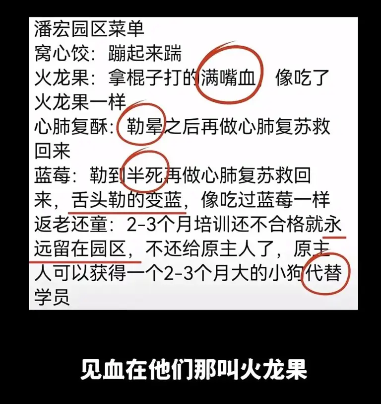 又一个大网红塌房：直播，还有底线吗？