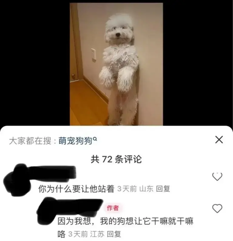 又一个大网红塌房：直播，还有底线吗？