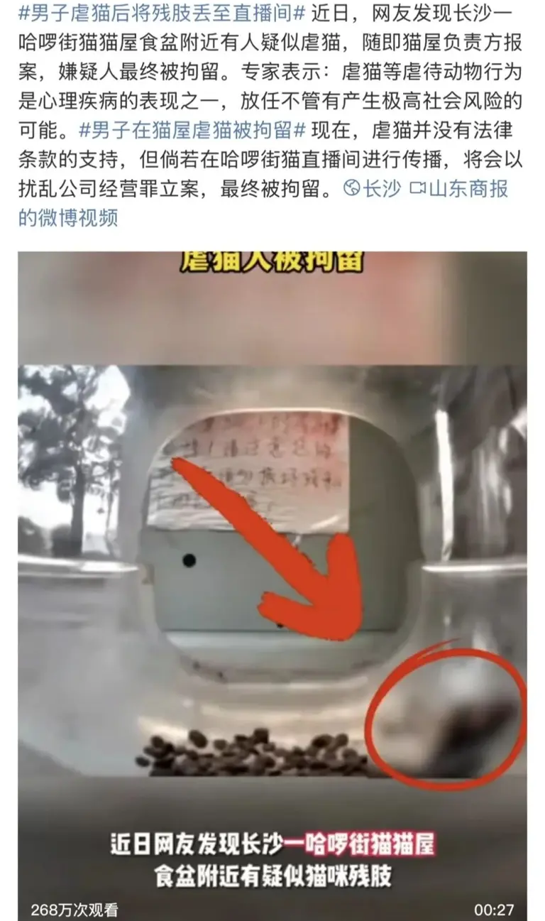 又一个大网红塌房：直播，还有底线吗？
