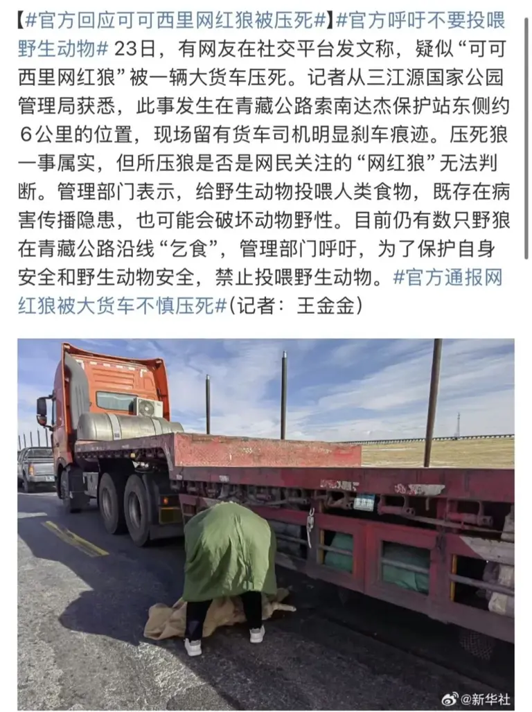 又一个大网红塌房：直播，还有底线吗？