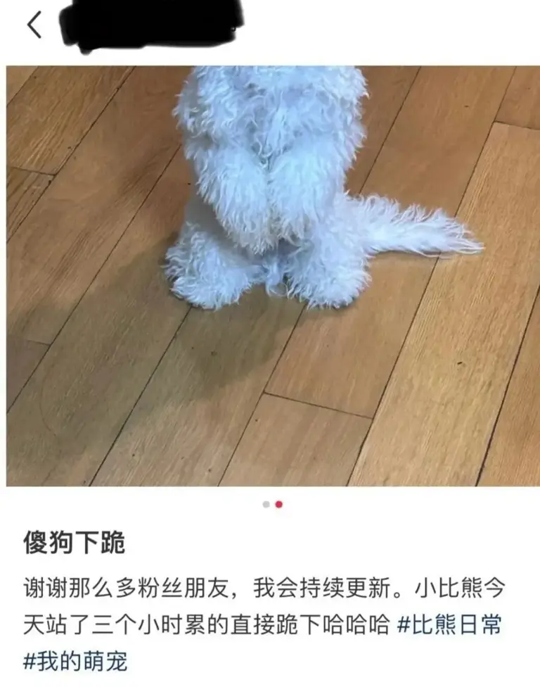 又一个大网红塌房：直播，还有底线吗？