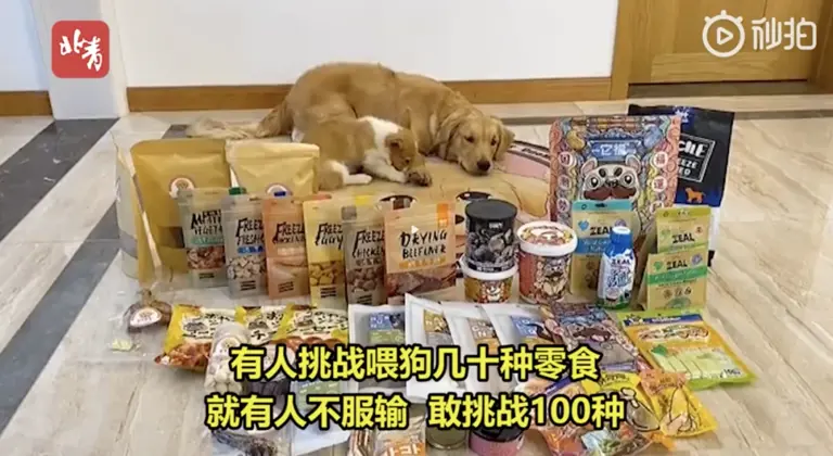又一个大网红塌房：直播，还有底线吗？