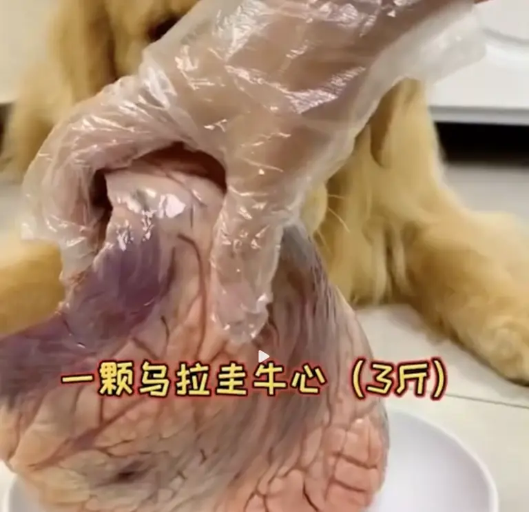 又一个大网红塌房：直播，还有底线吗？