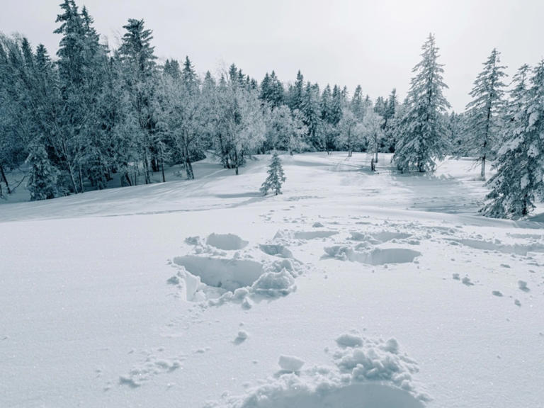 冬天去哪里看雪好？推荐国内五大最美雪山！