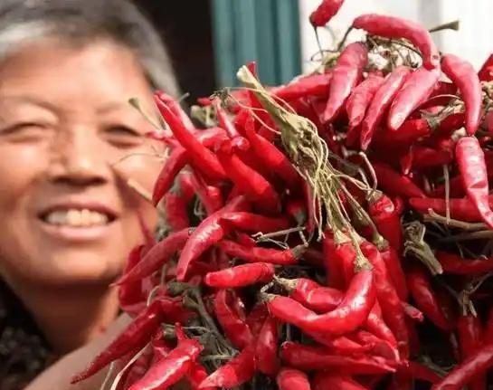 研究发现：常吃大蒜和辣椒的人，血栓一下就不堵了？这是真的吗？