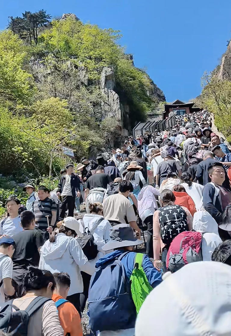 泰山陪爬忙疯了!陪爬团队:游客太多,一天爬两三趟,预约排到5月10日了
