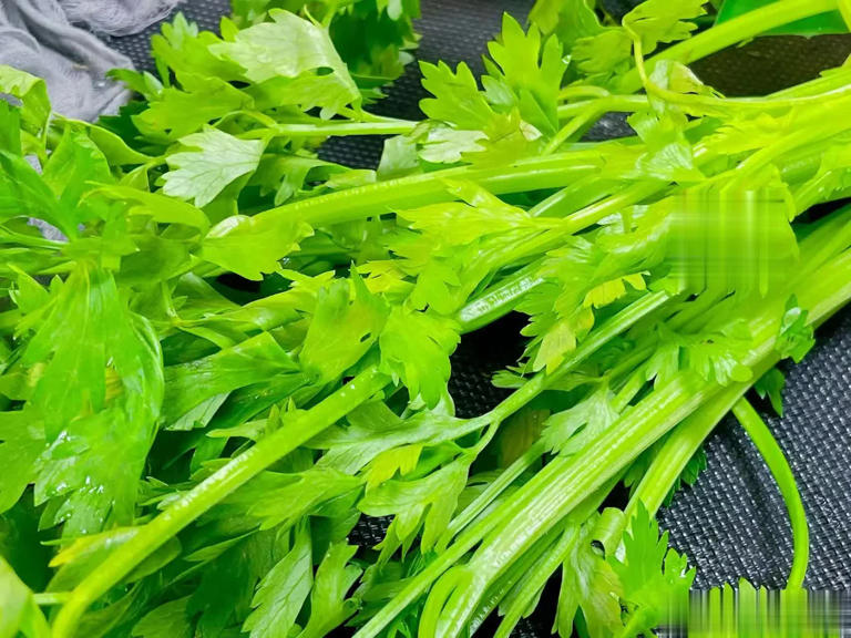 为啥吃芹菜不吃叶子？为了健康，这些原因你要了解