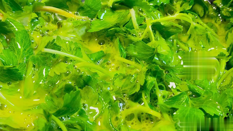 为啥吃芹菜不吃叶子？为了健康，这些原因你要了解