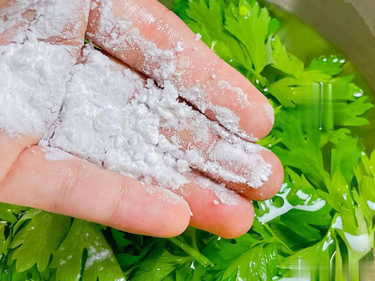 为啥吃芹菜不吃叶子？为了健康，这些原因你要了解