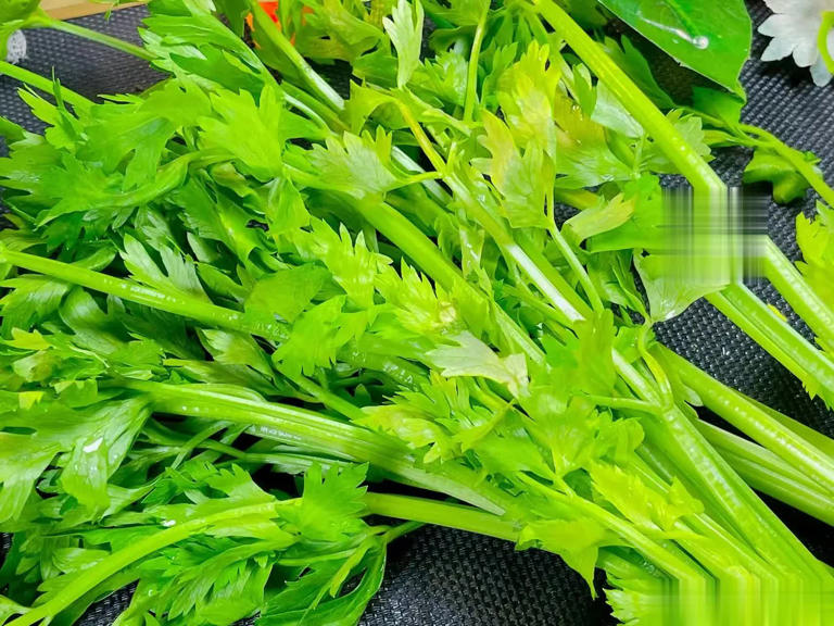 为啥吃芹菜不吃叶子？为了健康，这些原因你要了解