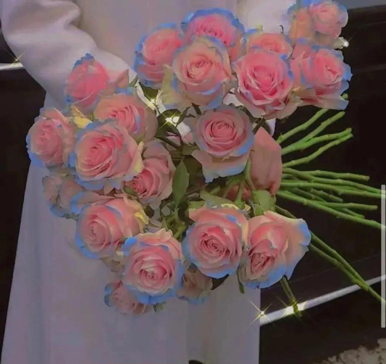 女孩子一定要明白真正适合结婚的人，样子很明显