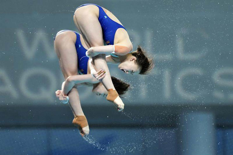 【跳水世界杯】陈芋汐/全红婵巴黎奥运后再联手，中国队包揽首日五金