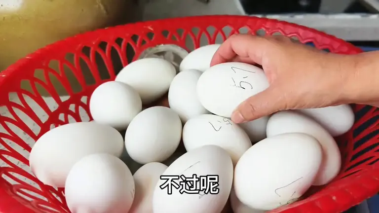 腌鸭蛋，放几个月都是一卤咸，到底放多少水，多少盐真有说道