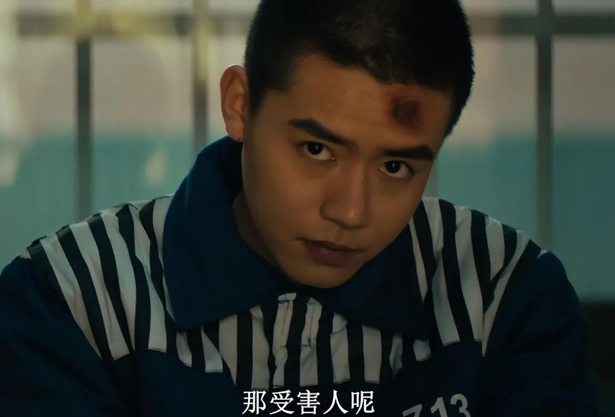 爱奇艺首播，24集悬疑大剧，刘奕君、闫妮领衔，终于又有好剧追了