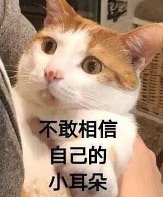 内娱劳模姐终于有新恋情？其实他俩早就有迹可循？-图7