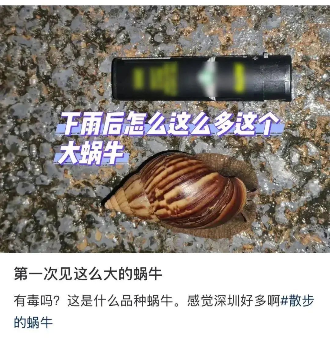 ������չר���ж�������·���������������������