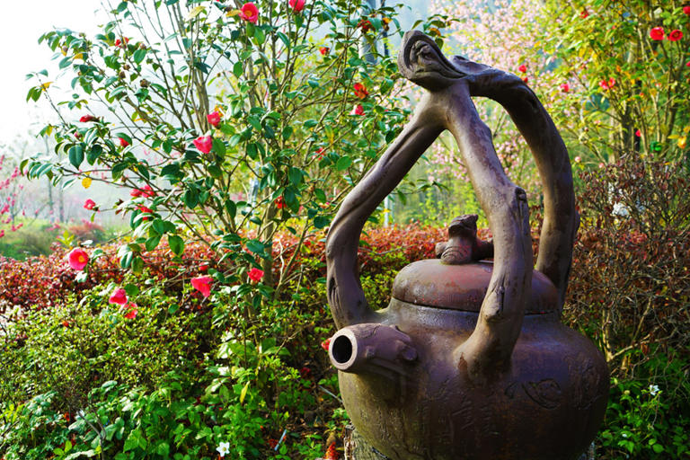 大唐贡茶院：时间的洪流涤不尽盛唐的茶香