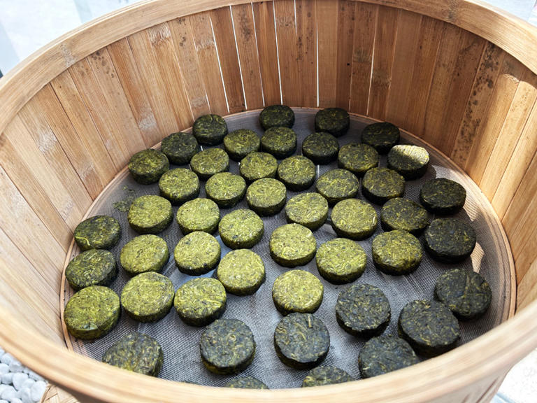 大唐贡茶院：时间的洪流涤不尽盛唐的茶香