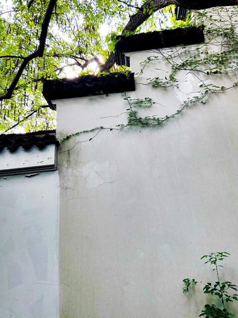 为什么世人只知道曲阜孔庙而不知衢州孔庙