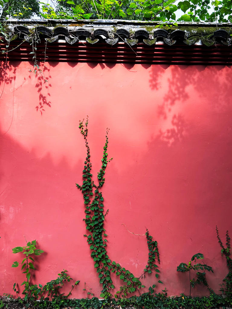 为什么世人只知道曲阜孔庙而不知衢州孔庙