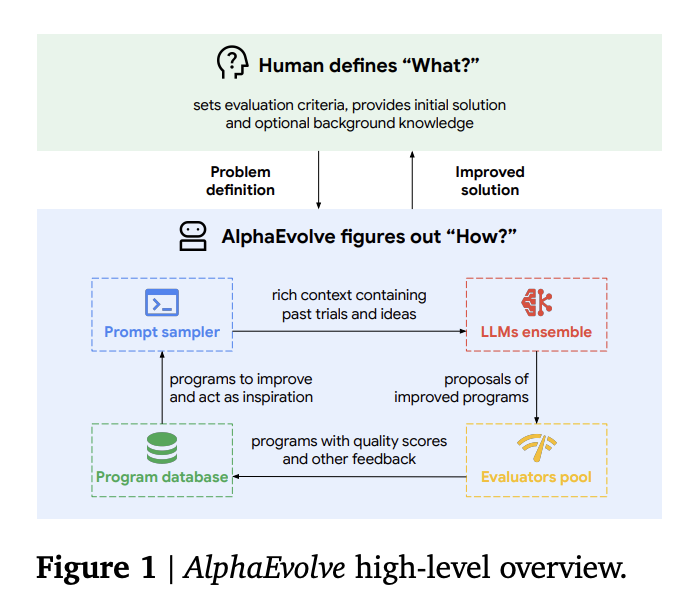 56 年无人解开的数学难题，被谷歌的新 AI 突破了