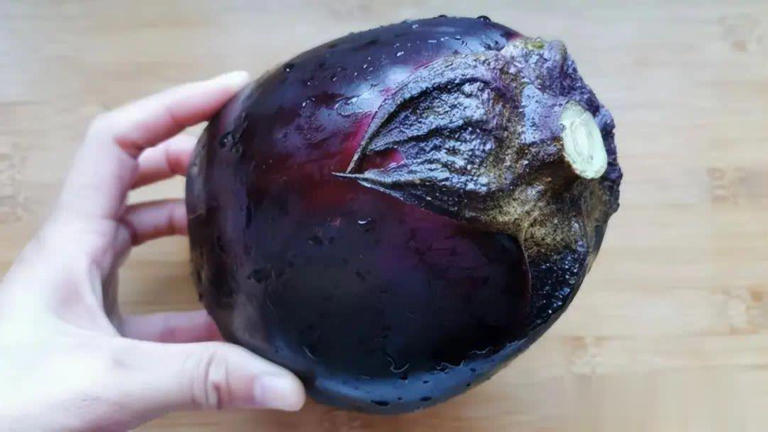 立夏后这菜别错过！蒸包子比白菜营养、比韭菜鲜，使劲吃