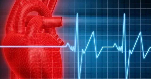 研究发现：心跳快慢和寿命长短相关，心率多少比较好？告诉你答案