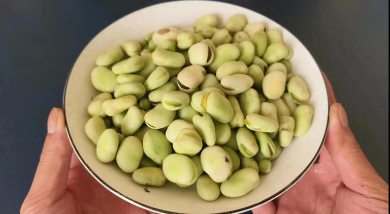 炒蚕豆别直接下锅，掌握技巧软糯鲜香又入味