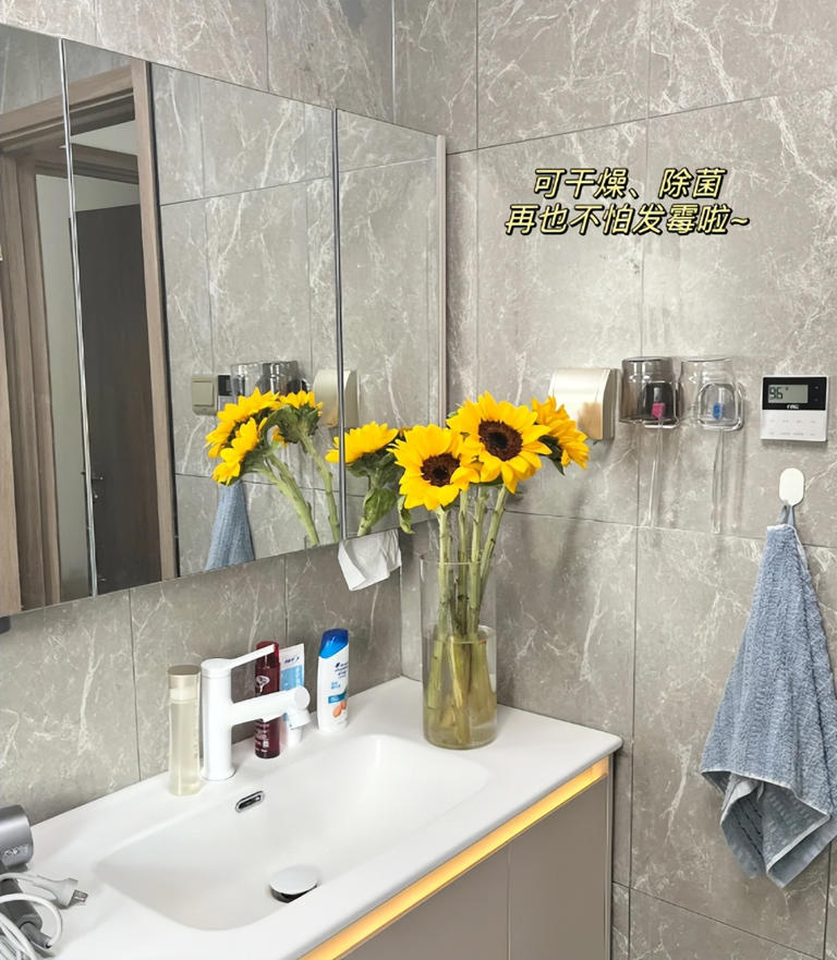 越来越多人卫生间不装洗手台和马桶！学广东人这样做