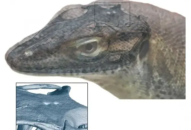 当把手指靠近眉心时，会产生一种奇怪的感觉，这是为什么呢？