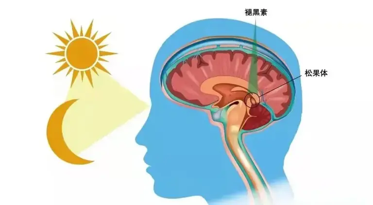 当把手指靠近眉心时，会产生一种奇怪的感觉，这是为什么呢？