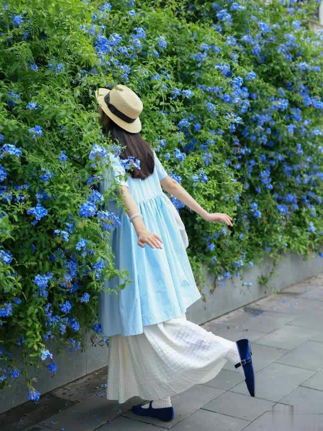 养花10年经验：这8种花花期长又美，越养越上瘾！