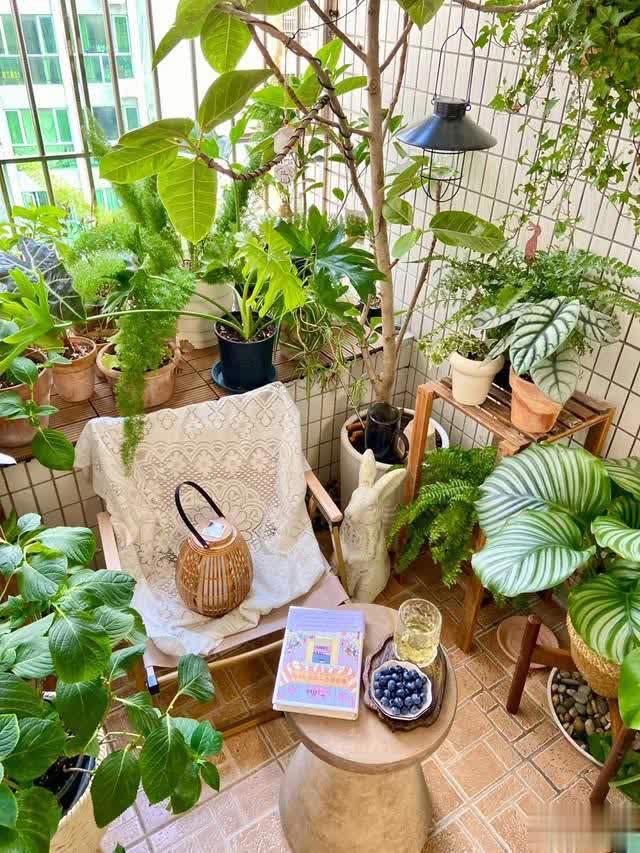 养花10年经验：这8种花花期长又美，越养越上瘾！ 